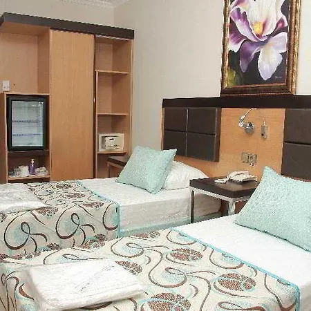 Elit Asya Hotel 3*