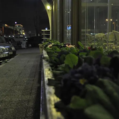 Hotel Elit Asya